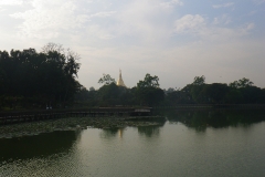 Blick zur Shwedagon Pagoda